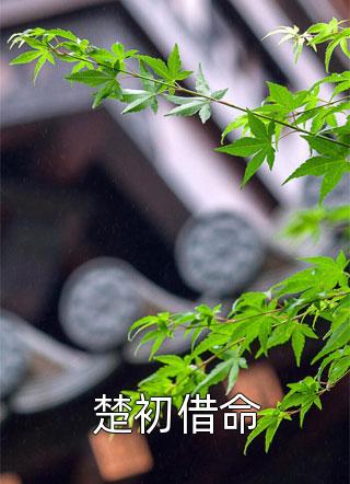 精选小说渣爹另娶后，她带着全家成功致富